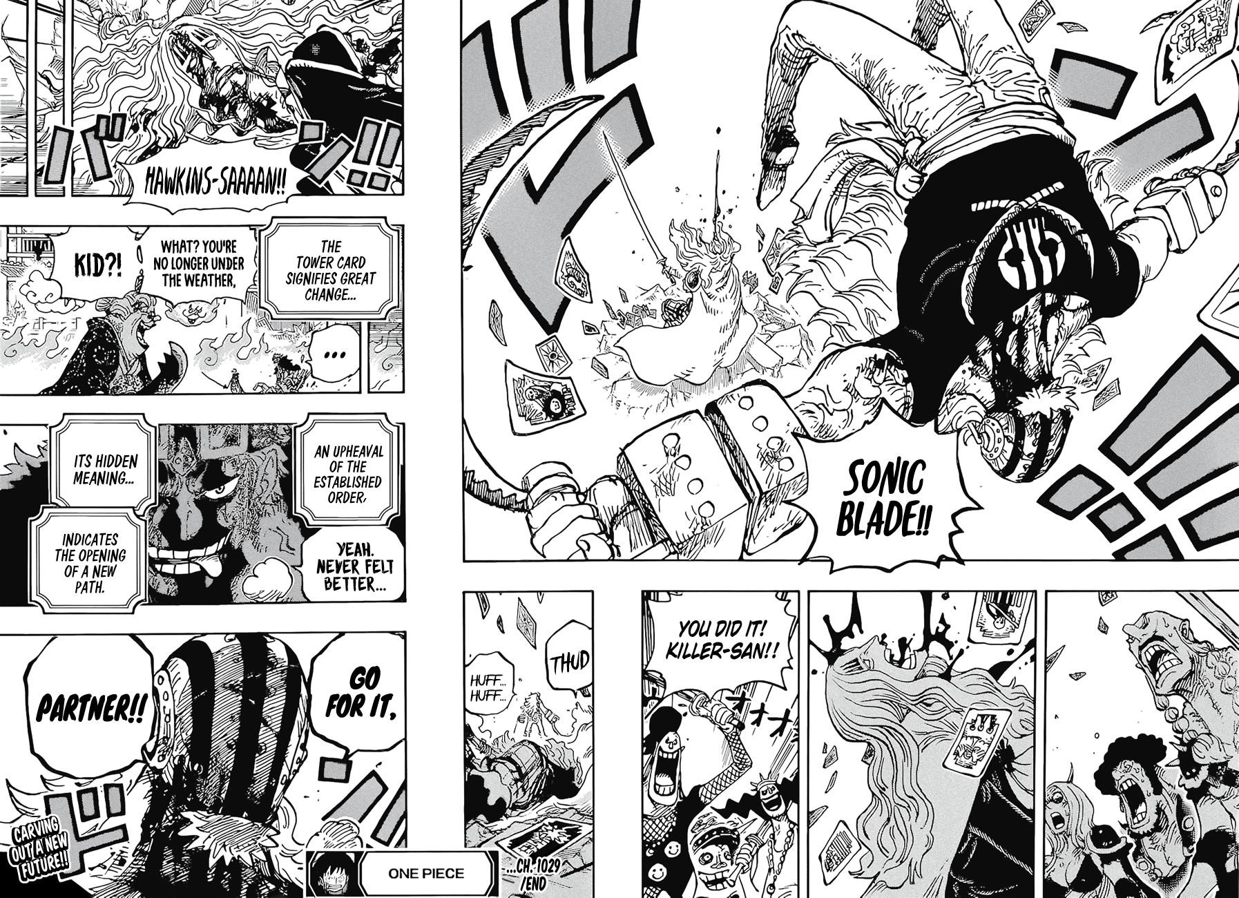 One Piece - Chapter 1029 Page 14